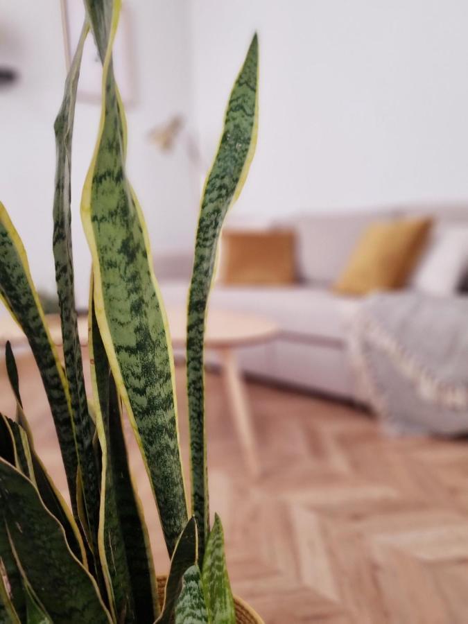 Cozy Apartment In The City Center 格拉纳达 外观 照片